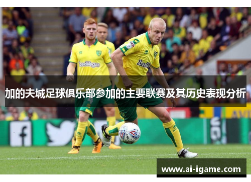 加的夫城足球俱乐部参加的主要联赛及其历史表现分析