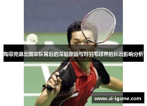 陶菲克退出国家队背后的深层原因与对羽毛球界的长远影响分析
