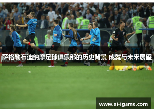 萨格勒布迪纳摩足球俱乐部的历史背景 成就与未来展望