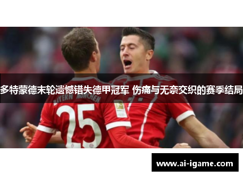 多特蒙德末轮遗憾错失德甲冠军 伤痛与无奈交织的赛季结局