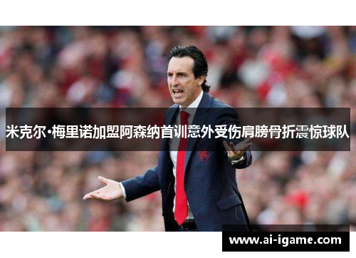 米克尔·梅里诺加盟阿森纳首训意外受伤肩膀骨折震惊球队