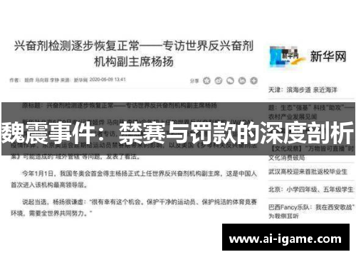魏震事件：禁赛与罚款的深度剖析